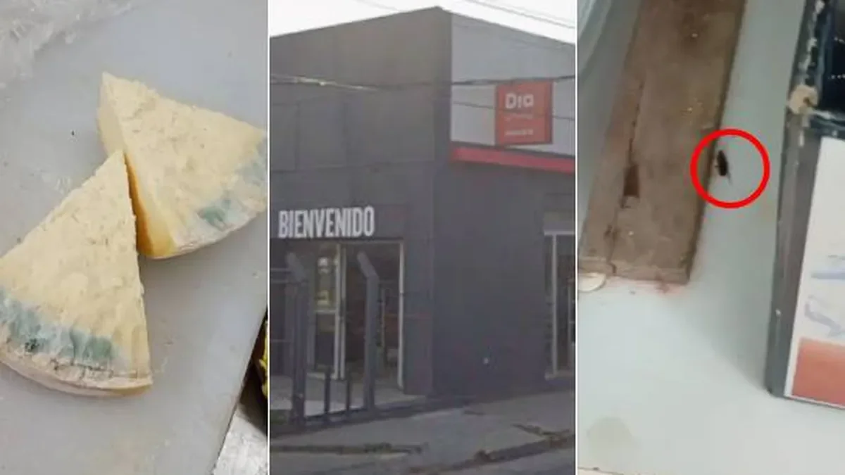 Clientes de La Plata denuncian condiciones insalubres en supermercado DIA
