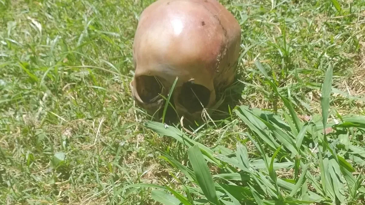 Descubren restos humanos en un descampado del oeste de La Plata, conmoción en la zona