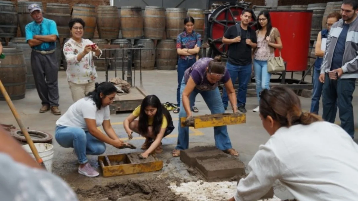 Estudiantes de la UNLP asistirán a ponencia sobre arquitectura sostenible en Ensenada