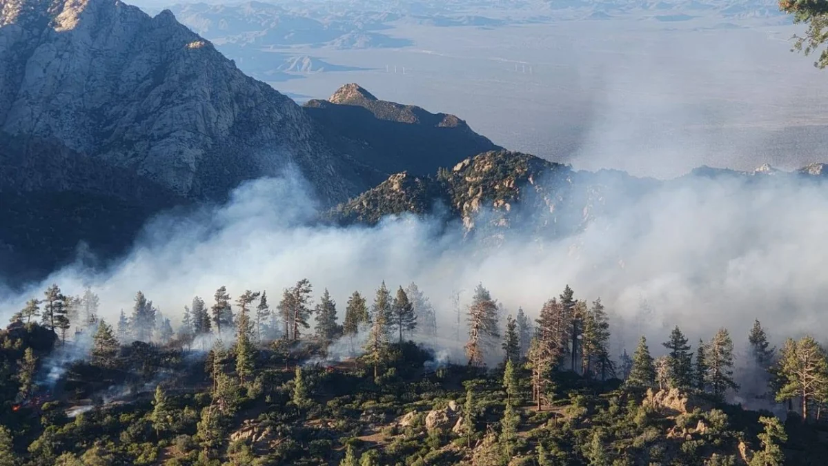 Incendio en San Pedro Mártir amenaza con extenderse hacia zonas pobladas de Ensenada