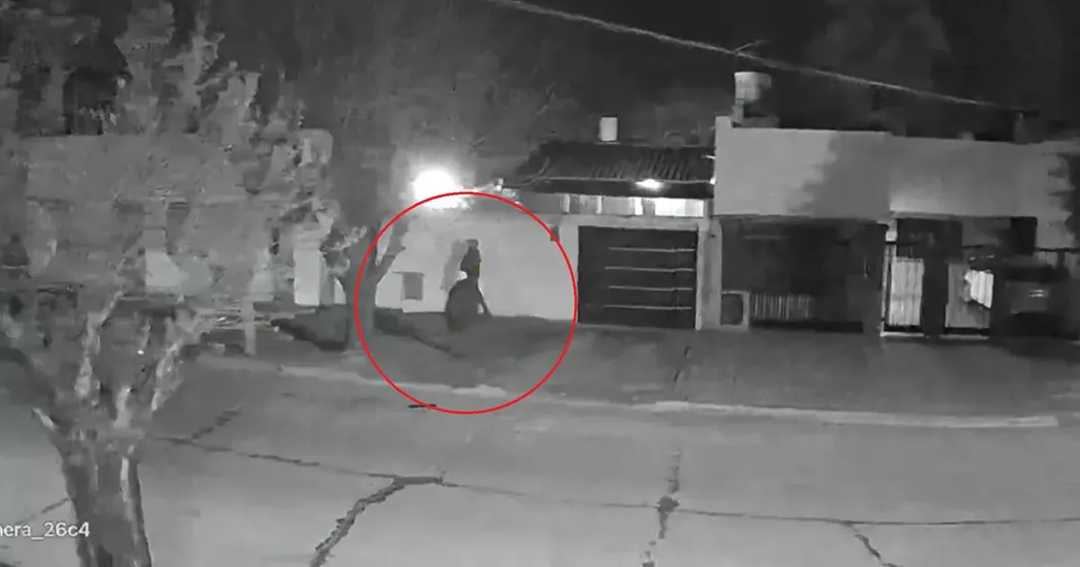 Inseguridad en Tolosa: vecinos exponen la cruda realidad a través de impactantes videos