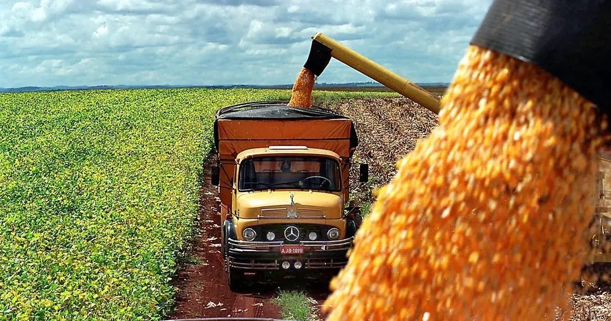 La primera exportación de maíz argentino a China beneficia a productores locales en Ensenada