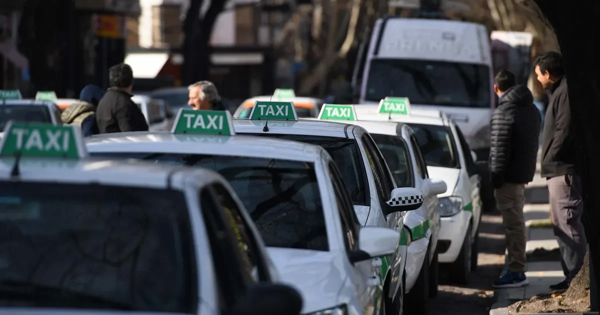 Los taxistas de La Plata se preparan para un nuevo sistema de licencias digitalizadas