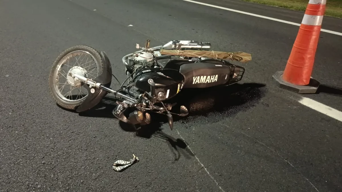 Tragedia en la Autopista Buenos Aires - La Plata: un motociclista fallece tras accidente