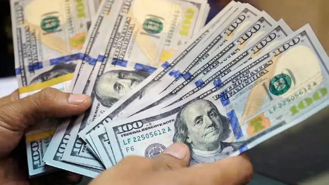 Transformar ahorros en dólares: una clave para el futuro económico de La Plata y Ensenada