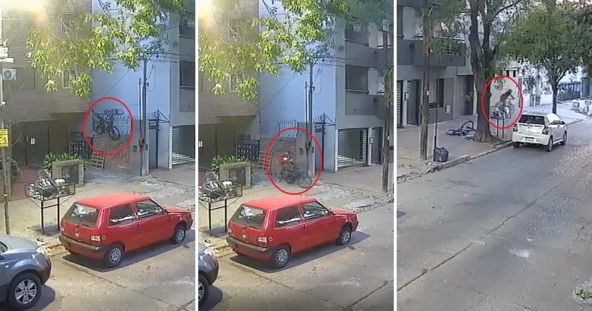 Un grito de alerta evita robo de bicicletas en pleno centro de La Plata