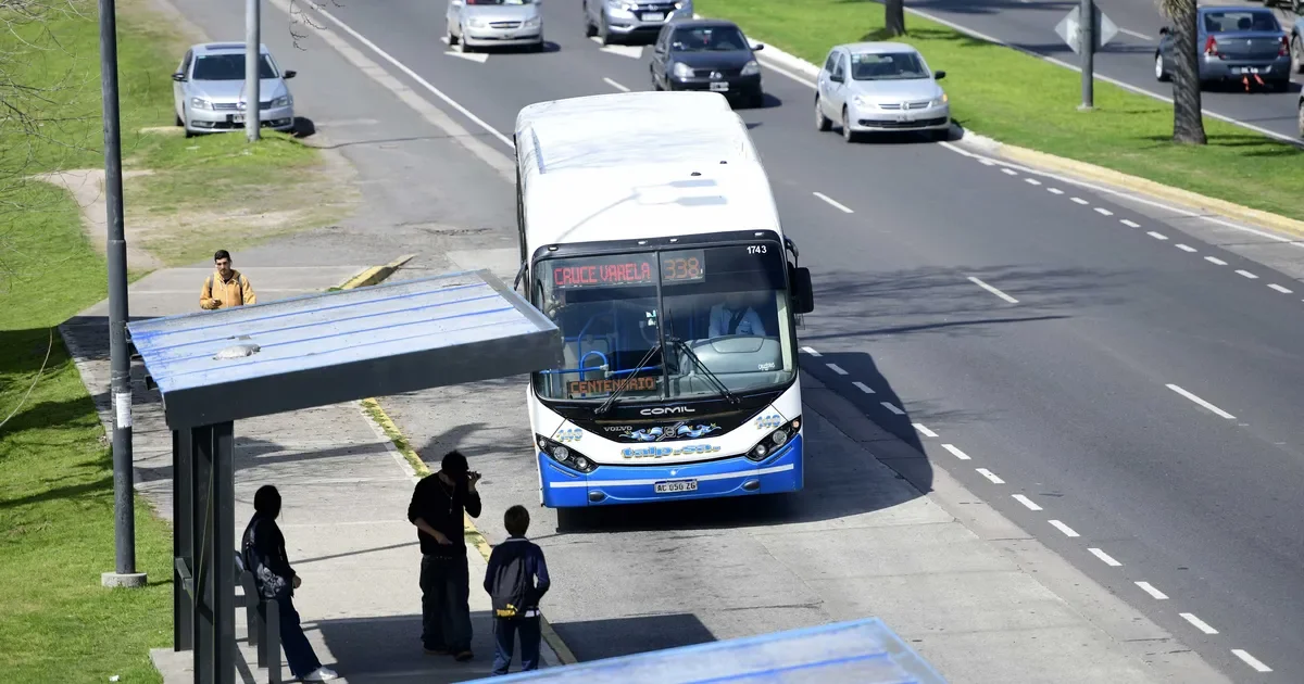 Vecinos de Ensenada y La Plata enfrentan reducción de servicios de micros por aumento de combustibles