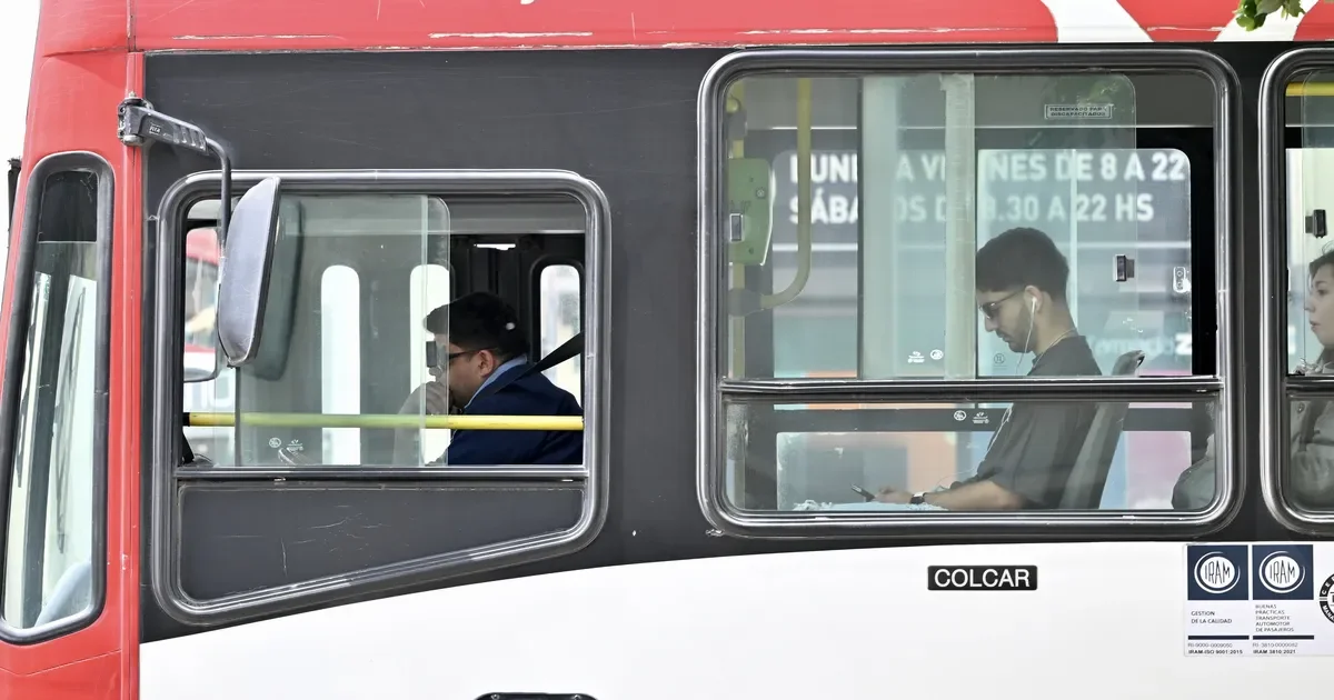 Vecinos de La Plata enfrentan dificultades con el nuevo aumento del boleto de micros que supera los $900